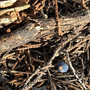 Meet your Posher, Chavez